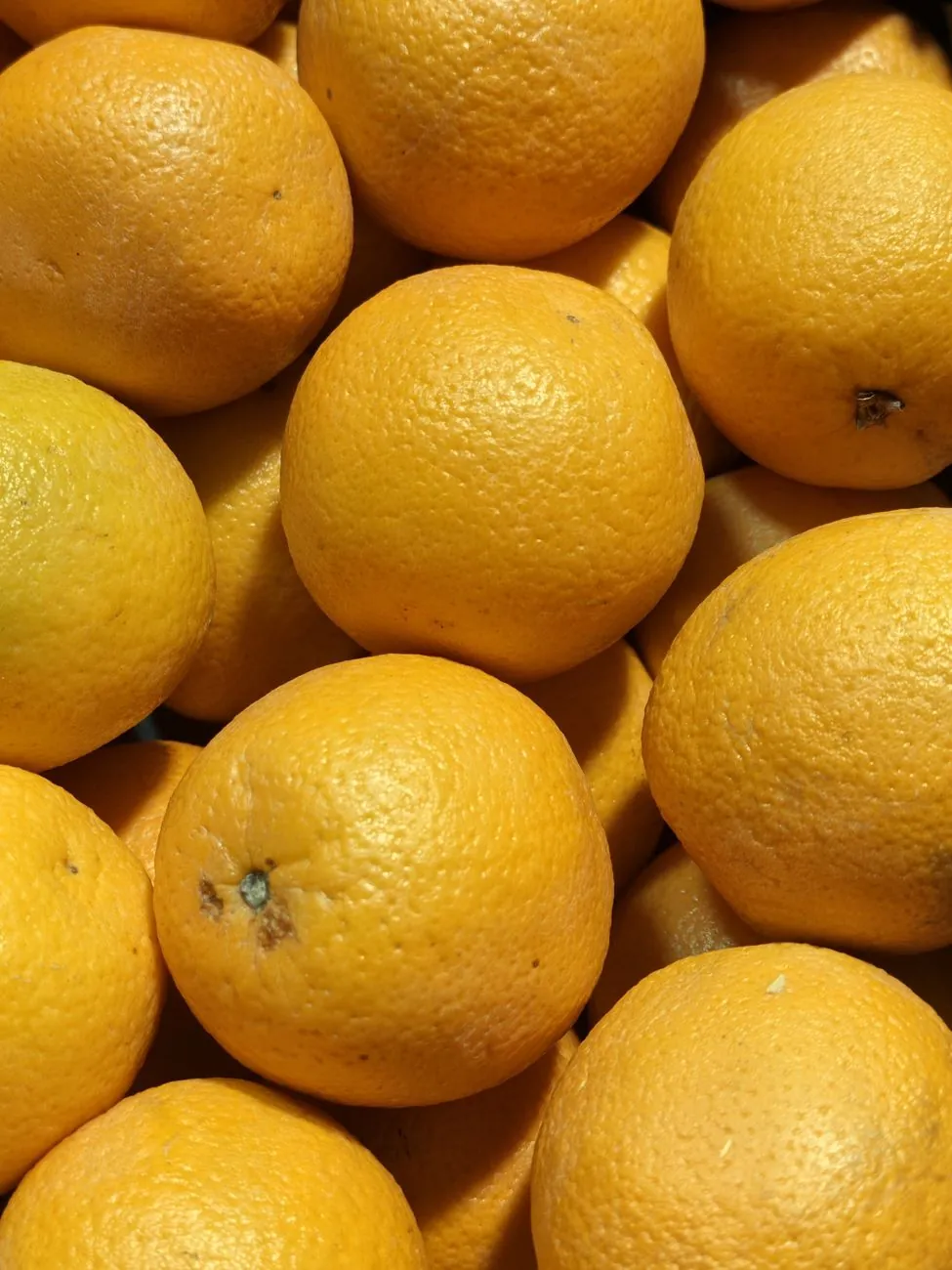 Verschillende multivitamines voor energie naast elkaar vergeleken